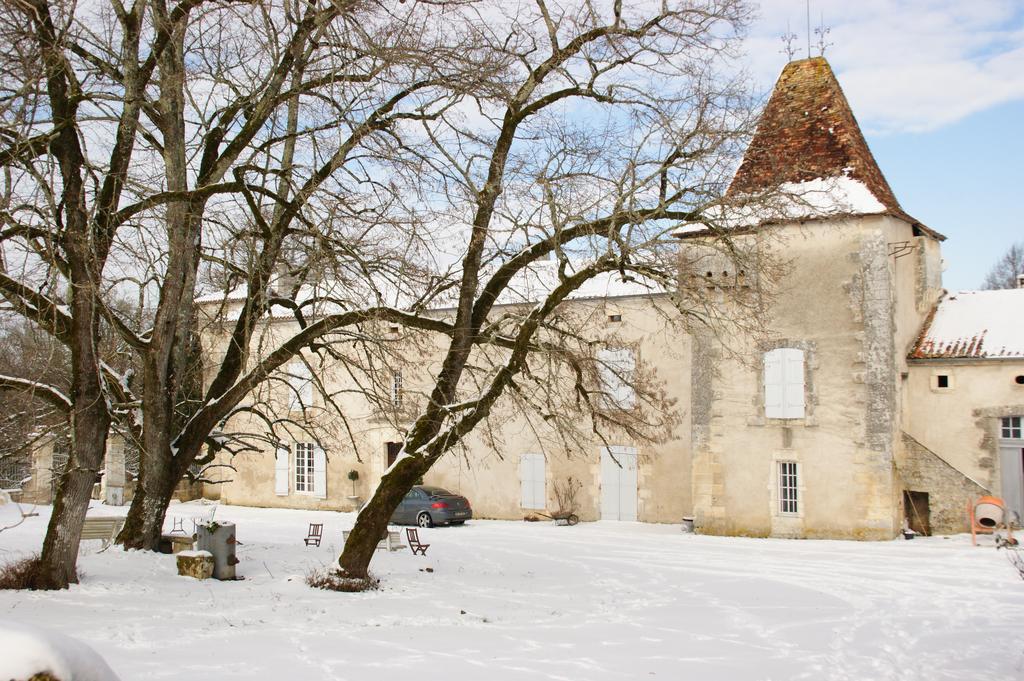 Chateau De La Combe Puyrenier Экстерьер фото